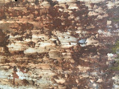 Paslı metal yüzey dokusu. Paslı Arkaplan