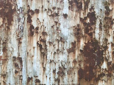 Paslı metal yüzey dokusu. Paslı Arkaplan