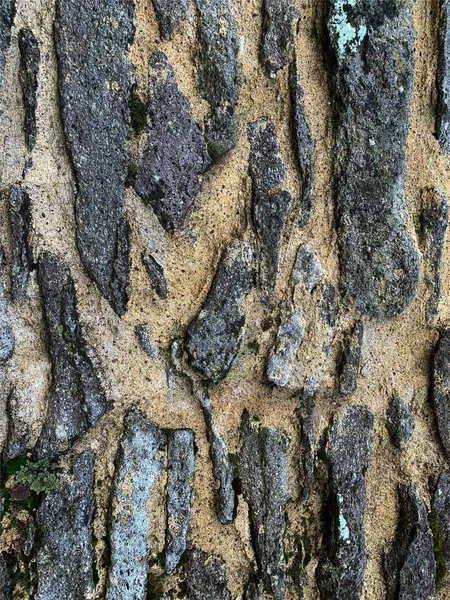 Viejo Muro Piedra Fondo —  Fotos de Stock