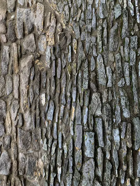 eski taş duvar arkaplanı