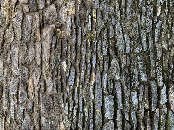 Alte Steinmauer Hintergrund — Stockfoto