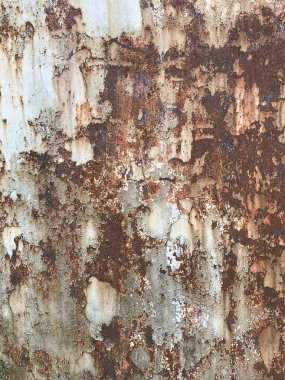 Paslı metal yüzey dokusu. Paslı Arkaplan