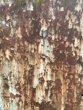 Paslı metal yüzey dokusu. Paslı Arkaplan
