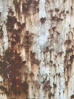 Paslı metal yüzey dokusu. Paslı Arkaplan