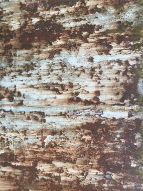 Paslı metal yüzey dokusu. Paslı Arkaplan