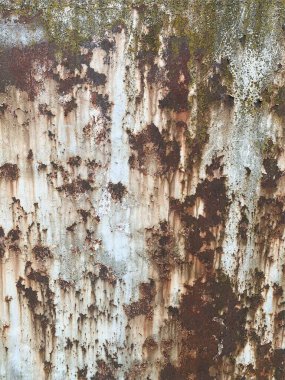 Paslı metal yüzey dokusu. Paslı Arkaplan