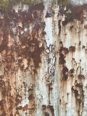 Paslı metal yüzey dokusu. Paslı Arkaplan