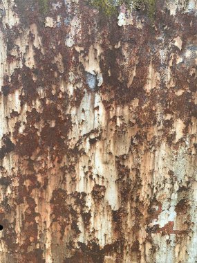 Paslı metal yüzey dokusu. Paslı Arkaplan