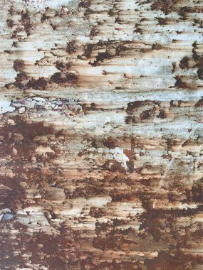 Paslı metal yüzey dokusu. Paslı Arkaplan