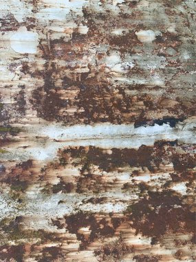 Paslı metal yüzey dokusu. Paslı Arkaplan