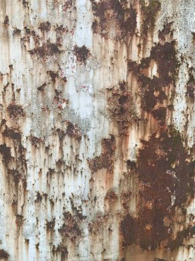 Paslı metal yüzey dokusu. Paslı Arkaplan