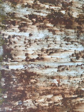 Paslı metal yüzey dokusu. Paslı Arkaplan
