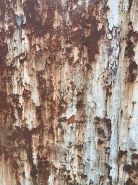 Paslı metal yüzey dokusu. Paslı Arkaplan