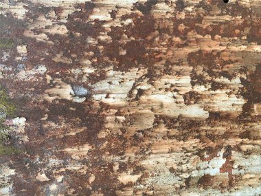 Paslı metal yüzey dokusu. Paslı Arkaplan