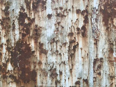 Paslı metal yüzey dokusu. Paslı Arkaplan