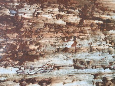 Paslı metal yüzey dokusu. Paslı Arkaplan