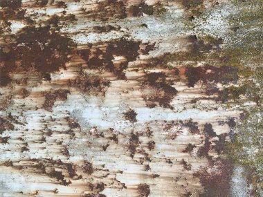 Paslı metal yüzey dokusu. Paslı Arkaplan