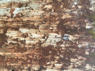 Paslı metal yüzey dokusu. Paslı Arkaplan