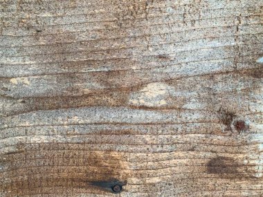 Ahşap duvar arkaplanı. Ahşap arkaplan