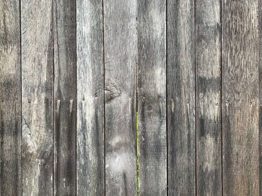 Ahşap duvar arkaplanı. Ahşap arkaplan