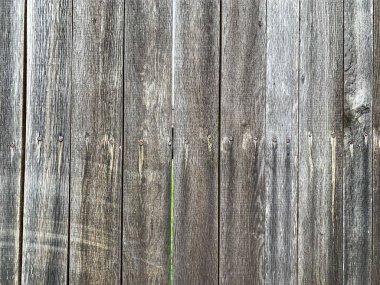 Ahşap duvar arkaplanı. Ahşap arkaplan