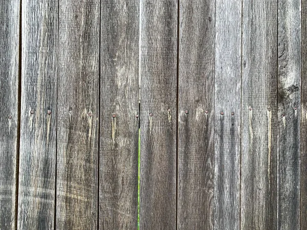 Ahşap duvar arkaplanı. Ahşap arkaplan