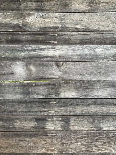 Ahşap duvar arkaplanı. Ahşap arkaplan