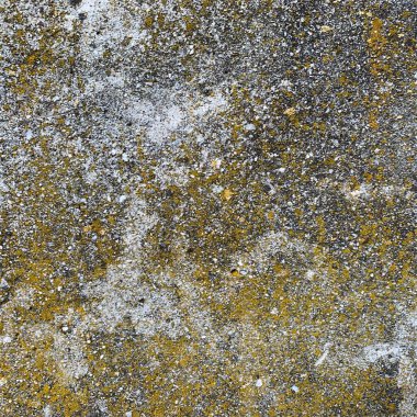 Beton duvar arka planı. Beton duvar dokusu