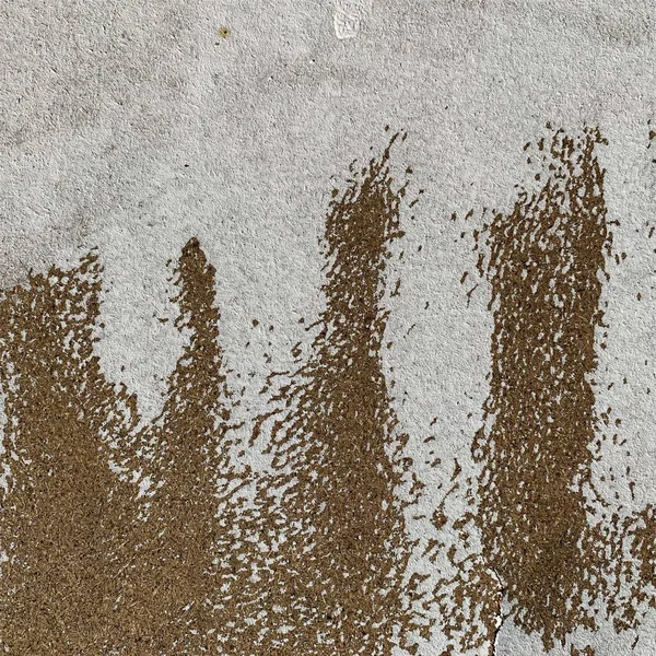 Beton duvar arka planı. Beton duvar dokusu