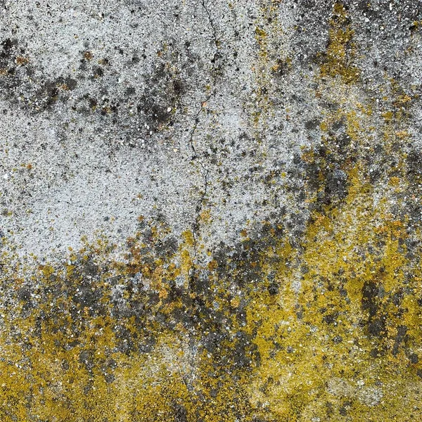 Beton duvar arka planı. Beton duvar dokusu