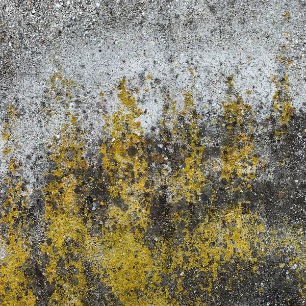 Beton duvar arka planı. Beton duvar dokusu