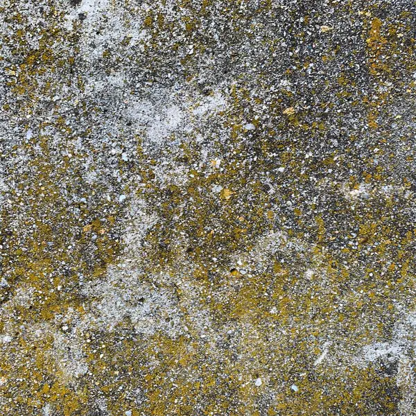 Beton duvar arka planı. Beton duvar dokusu