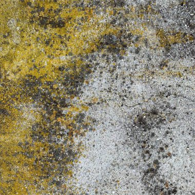 Beton duvar arka planı. Beton duvar dokusu