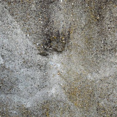 Beton duvar arka planı. Beton duvar dokusu