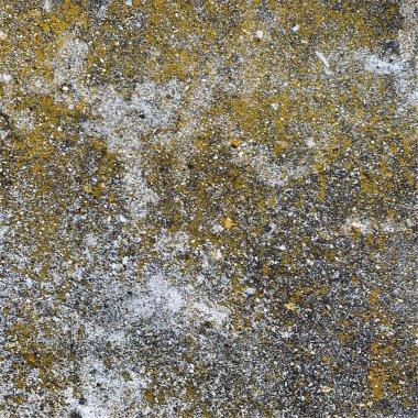 Beton duvar arka planı. Beton duvar dokusu