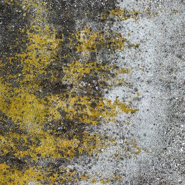 Beton duvar arka planı. Beton duvar dokusu