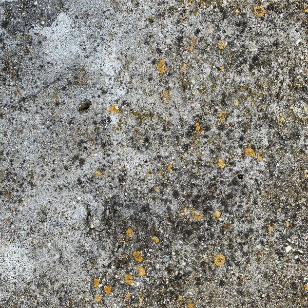 Beton duvar arka planı. Beton duvar dokusu