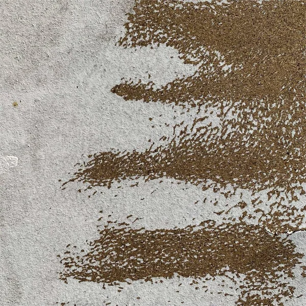 Beton duvar arka planı. Beton duvar dokusu