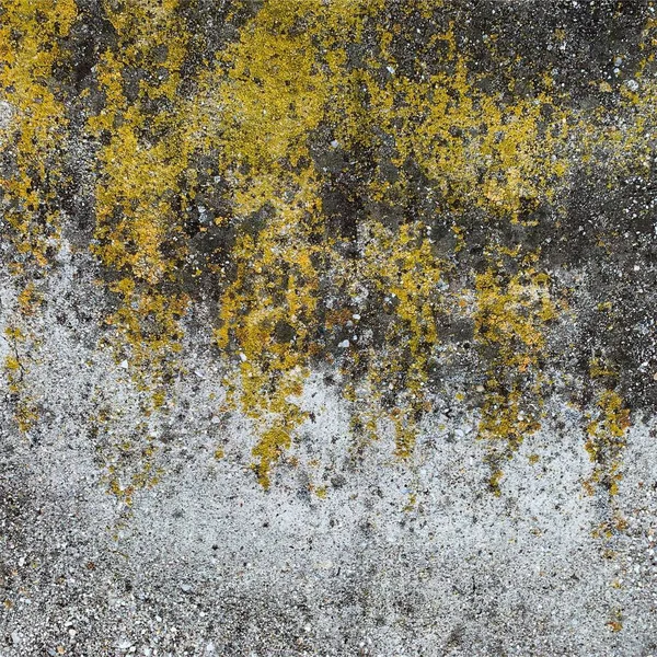 Beton duvar arka planı. Beton duvar dokusu