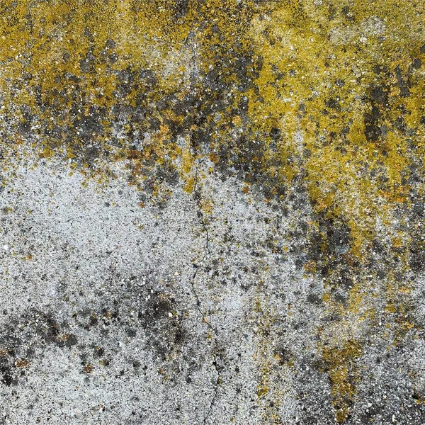 Beton duvar arka planı. Beton duvar dokusu