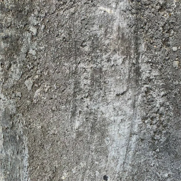 Concrete Wall Background Cement Wall Texture — ストック写真