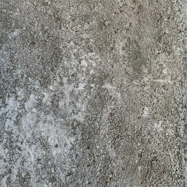 Concrete Wall Background Cement Wall Texture — 스톡 사진