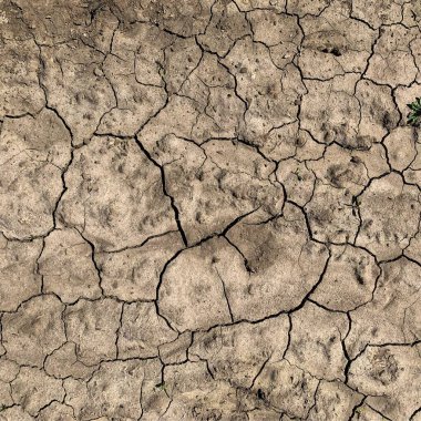 Çatlak yeryüzü arka planı. Toprak yüzeyinde çatlaklar var. Çamur çatlakları.