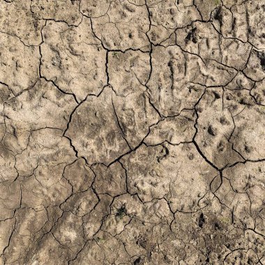 Çatlak yeryüzü arka planı. Toprak yüzeyinde çatlaklar var. Çamur çatlakları.