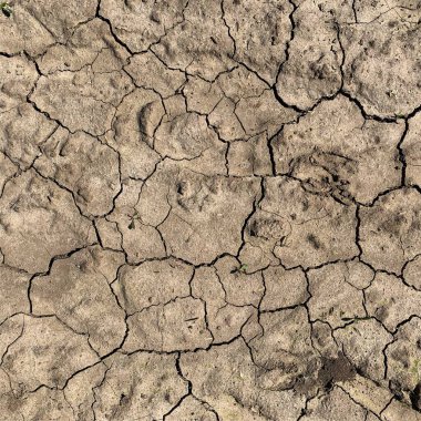 Çatlak yeryüzü arka planı. Toprak yüzeyinde çatlaklar var. Çamur çatlakları.
