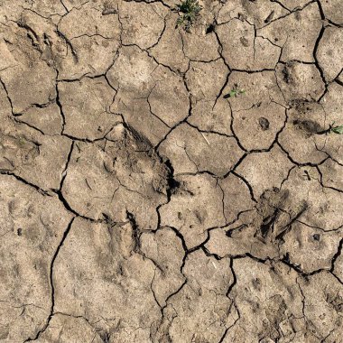 Çatlak yeryüzü arka planı. Toprak yüzeyinde çatlaklar var. Çamur çatlakları.
