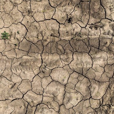 Çatlak yeryüzü arka planı. Toprak yüzeyinde çatlaklar var. Çamur çatlakları.