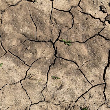 Çatlak yeryüzü arka planı. Toprak yüzeyinde çatlaklar var. Çamur çatlakları.