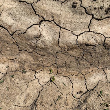 Çatlak yeryüzü arka planı. Toprak yüzeyinde çatlaklar var. Çamur çatlakları.
