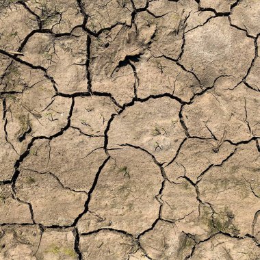Çatlak yeryüzü arka planı. Toprak yüzeyinde çatlaklar var. Çamur çatlakları.